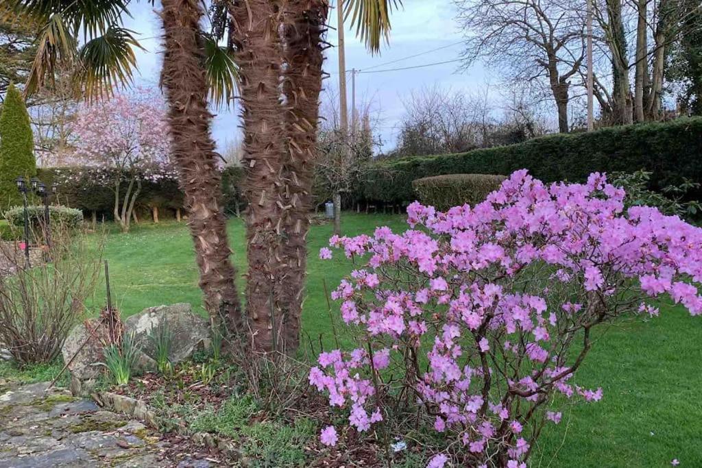 Villa Le Nalousie Livry  Exterior foto